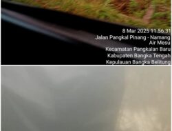 Dua Meter dari Jalan Umum Tambang timah, Diduga Pemilik Tambang inisial (AM) Kebal Hukum Adanya Bang Jago