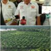 Ketum BPI KPNPA RI Minta Mabes Polri Dalami Kebun Sawit di IUP Tambang Pasir CV Elyska Indo Plantation