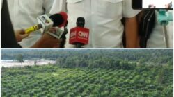 Ketum BPI KPNPA RI Minta Mabes Polri Dalami Kebun Sawit di IUP Tambang Pasir CV Elyska Indo Plantation