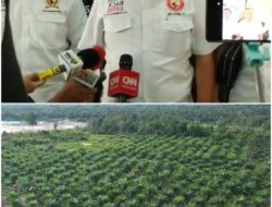 Ketum BPI KPNPA RI Minta Mabes Polri Dalami Kebun Sawit di IUP Tambang Pasir CV Elyska Indo Plantation
