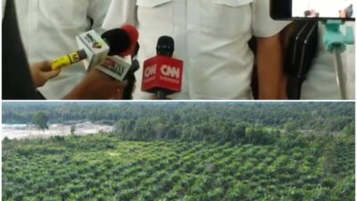 Ketum BPI KPNPA RI Minta Mabes Polri Dalami Kebun Sawit di IUP Tambang Pasir CV Elyska Indo Plantation