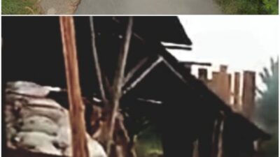 Publik Meminta Semua Pihak Berwenang Memeriksa Kelengkapan izin Tempat Usaha Industeri Pengolahan kayu,”