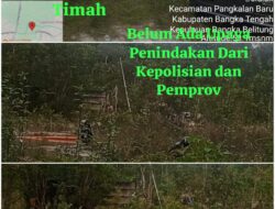 Diduga Tidak Memiliki Izin Lokasi Tambang Timah,” Pemerintah dan Kepolisian di Minta Publik Adanya Tindakan Hukum Nyata