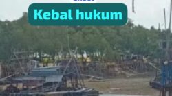 Diduga Aktor Tambang Timah Puri Ansel Kembali Menunjukkan Kekuatan Kebal Hukum,?? Apakah Kapolres Bangka Bertindak