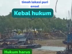 Diduga Aktor Tambang Timah Puri Ansel Kembali Menunjukkan Kekuatan Kebal Hukum,?? Apakah Kapolres Bangka Bertindak