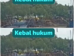 Aktor Tambang Timah Puri Ansel Kembali Menunjukkan Kekuatan Kebal Hukum? Apakah Tindakan Kapolres Bangka??