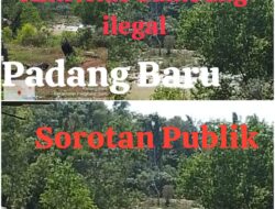 Publik Menyoroti Penegakan Hukum Tambang Ilegal Di Padang Baru Belum Maksimal Masih Ada Tebang Pilih.